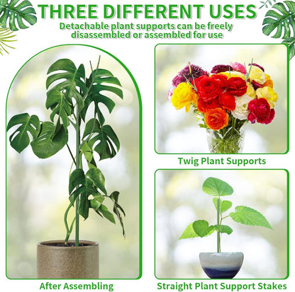 6 Pack 27.56" Detachable Twig Plant Support Stakes Set, Blends in to Plant, Branch Plant Sticks