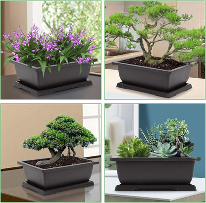 GROWNEER Bonsai Pots 3 Packs 11 Inch Bonsai Tree Training Pot with Humidity Drainage Trays &