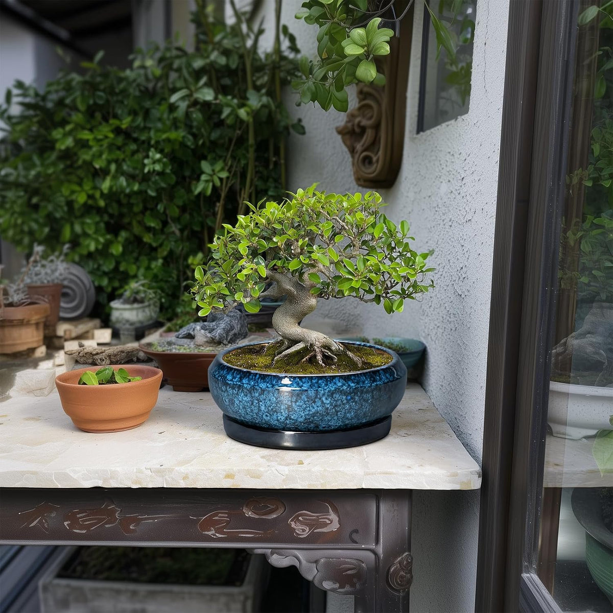Bonsai Pots 8 Inch - Ceramic Succulent Planter for Indoor Outdoor, Round Bonsai Planter with