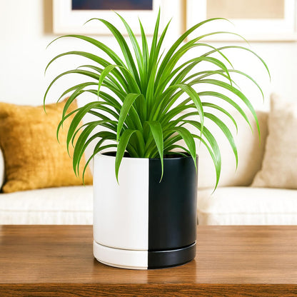 D'vine Dev 6.5 Inch Ceramic Planter Pot with Drainage Hole and Saucer, Indoor Cylinder Round