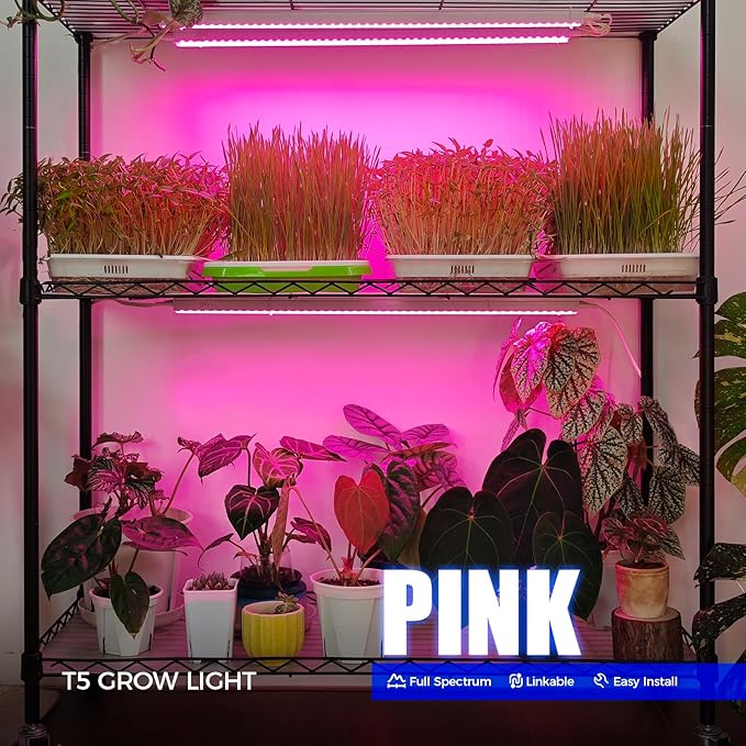 Barrina T5 Grow Lights, Full Spectrum, 2ft 80W (8 x 10W, 500W Equivalent), LED Grow Light Bulbs