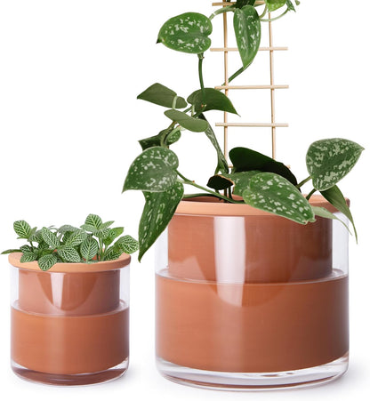 Phoenix Vine 4 Inch 6 Inch Self Watering Plants Pots, Design Terracotta Pots for Plants, Indoor