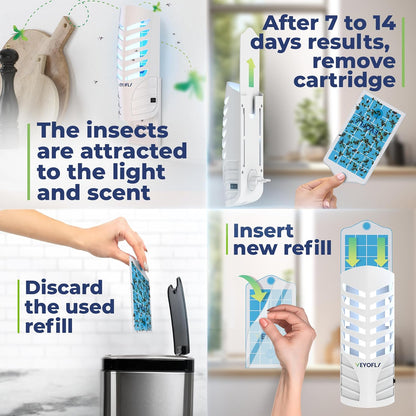 VEYOFLY Fruit Fly Traps for Indoors, Fly Trap Indoor, (4 Device + 12 Refills) Fly Catcher Indoor