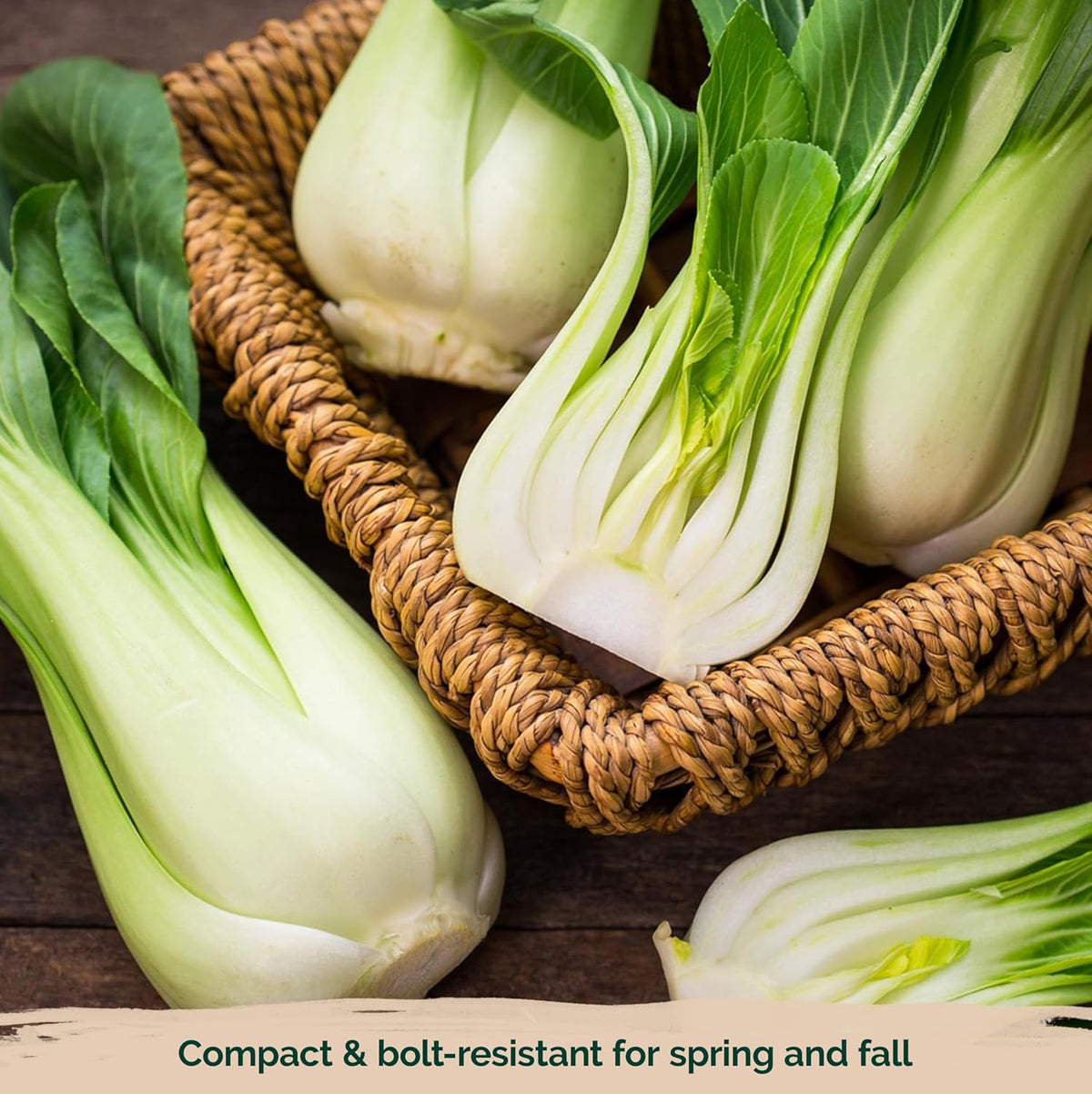 KVITER 1,200 Baby Bok Choy Seeds for Planting (Brassica rapa subsp. chinensis) – Heirloom Extra