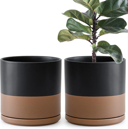 D'vine Dev Set of 2 Plants Pot, 10 Inch Ceramic Planter Pot for Plants with Drainage Hole and