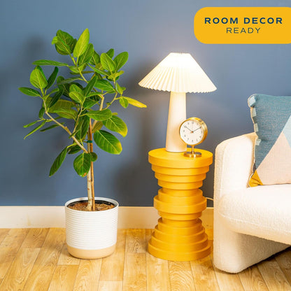 Costa Farms Ficus Audrey Tree Live Plant | 3-4 Ft. Tall Floor Plant | 10-Inch Minimal Decor Pot |