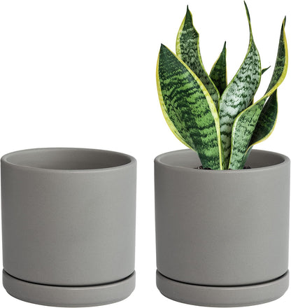 D'vine Dev Set of 2 Plants Pots, 6 Inch Ceramic Planter Pot for Plants with Drainage Hole and