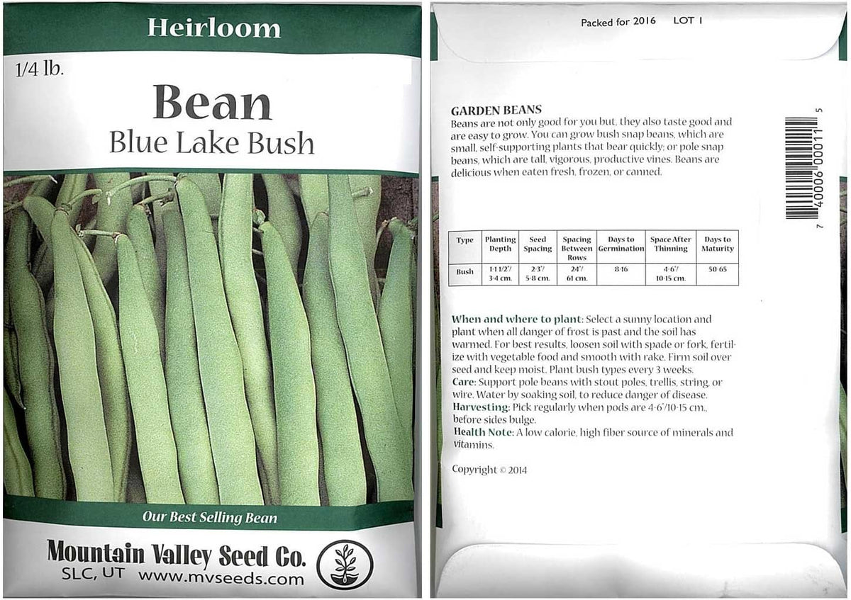 Blue Lake Bush Bean 274 Seeds - 4 Oz - Non-GMO, Heirloom, Open Pollinated - Vegetable Garden Seeds