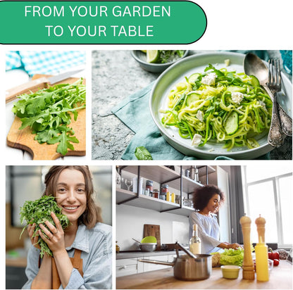 Woods Creek Seeds: Arugula Astro Seeds for Planting - Over 1,300 Heirloom, Non-GMO Arugula Seeds