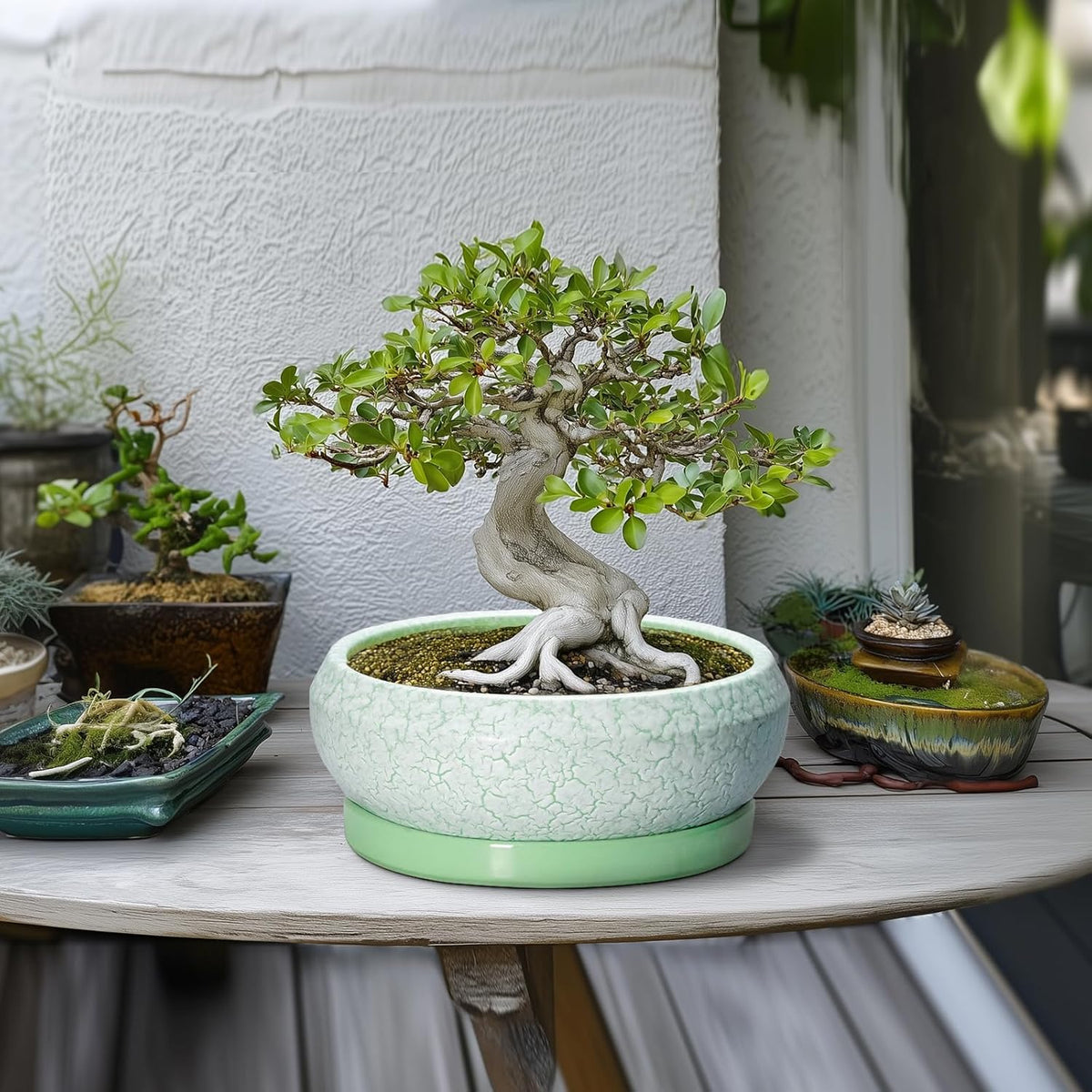 Bonsai Pots - 10 Inch Ceramic Succulent Pot with Drainage Hole and Plant Saucer, Succulent Planters