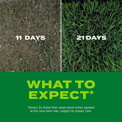 Scotts Turf Builder Rapid Grass Tall Fescue Mix, Combination Grass Seed and Fertilizer, Grows Green