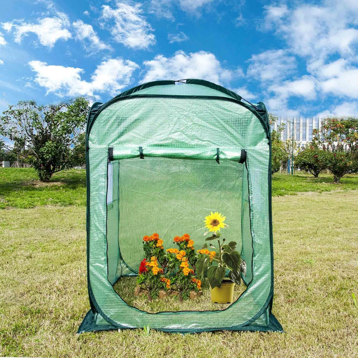 Porayhut Pop Up Greenhouse Tent,Portable X-Large Walk-in Flower House ,Indoor Outdoor Gardening