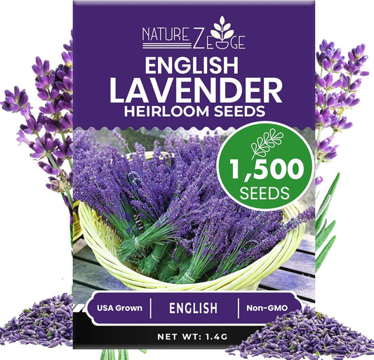 NatureZ Edge1500 English Lavender Seeds for Planting Outdoors or Indoors, 90% Germination, Lavender