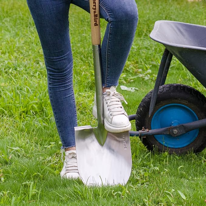 Berry&Bird Round Point Gardening Shovel with Wood D-Handle, 40.98" Stainless Steel Beach & Snow
