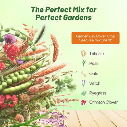 Outsidepride Gardenway Cover Crop Seeds - 10 lbs Nutrient-Rich Seed Mix for Soil Health Improvement