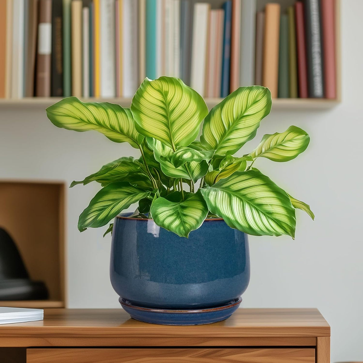 G EPGardening Ceramic Planter 6 Inch - Round Modern Ceramic Pot for Plants with Drainage and Plant