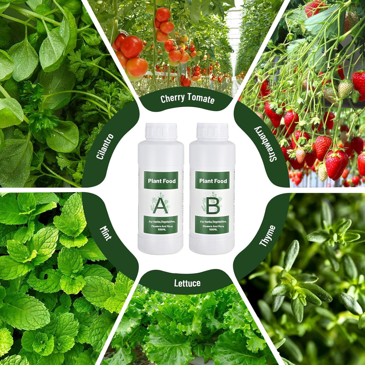 1000ml Hydroponic Nutrients A&B for Aerogarden Plant Food with 2 Measuring Cups - Fertilizer for