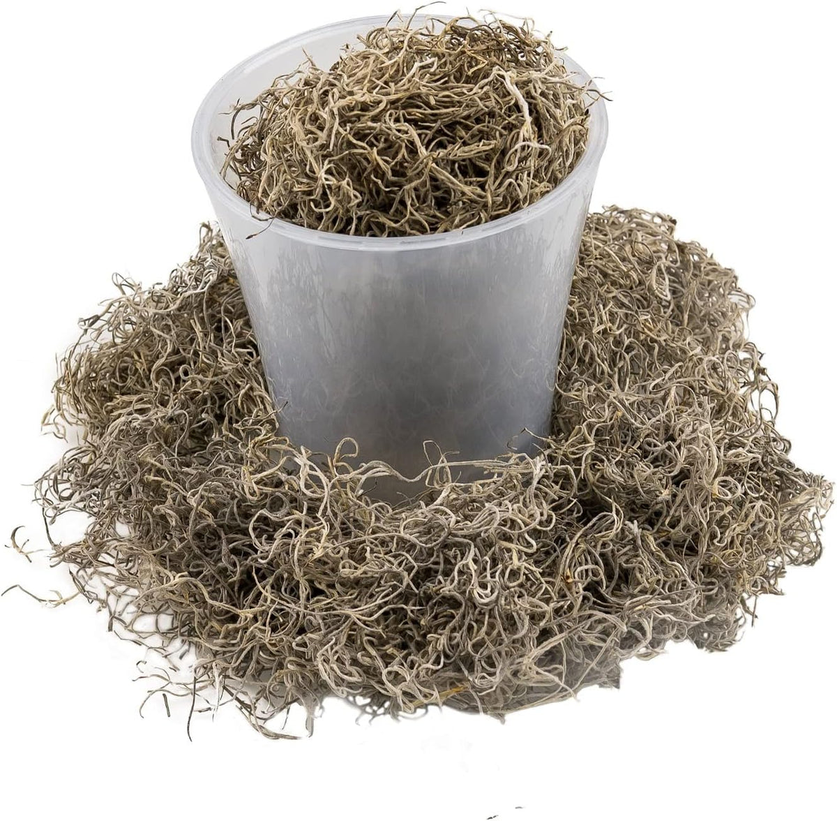 Premium Natural Spanish Moss | Natural Preserved - 10 Quart - Great Ground Cover - Filler for