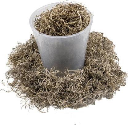 Gardenera Premium Natural Spanish Moss | Natural Preserved - Great Ground Cover - Filler for Potted