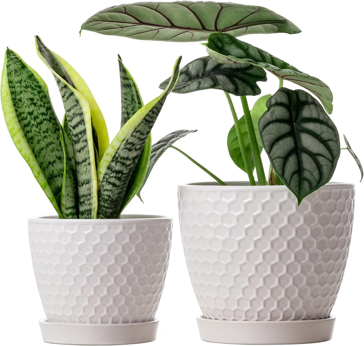 Docrin Ceramic Plant Pots Indoor, 6.6 + 5.5 Inch Flower Pots with Drainage Holes and Saucer for