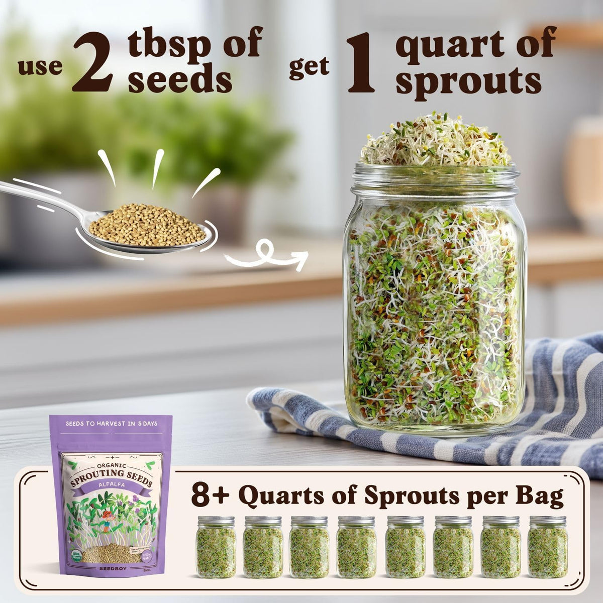Seedboy Organic Non-GMO Alfalfa Seeds for Sprouting - Microgreens Sprouting Seeds - 8 oz Bag Makes