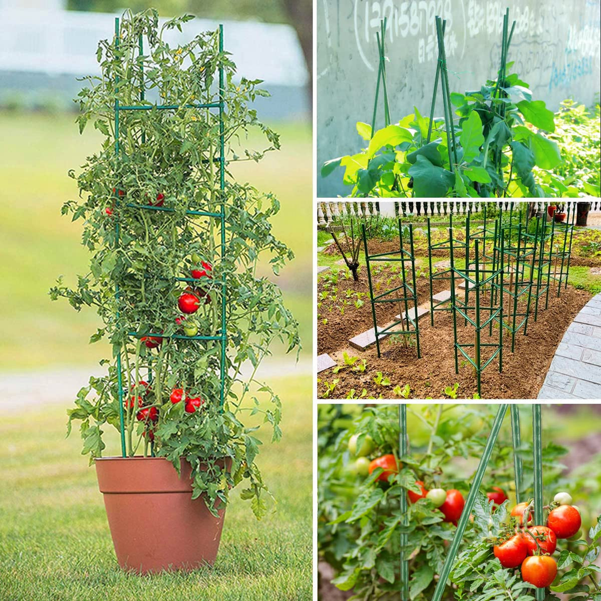 Yongblus 63Inch Tomato Cage for Garden, 4Pack Plant Support Garden Stakes