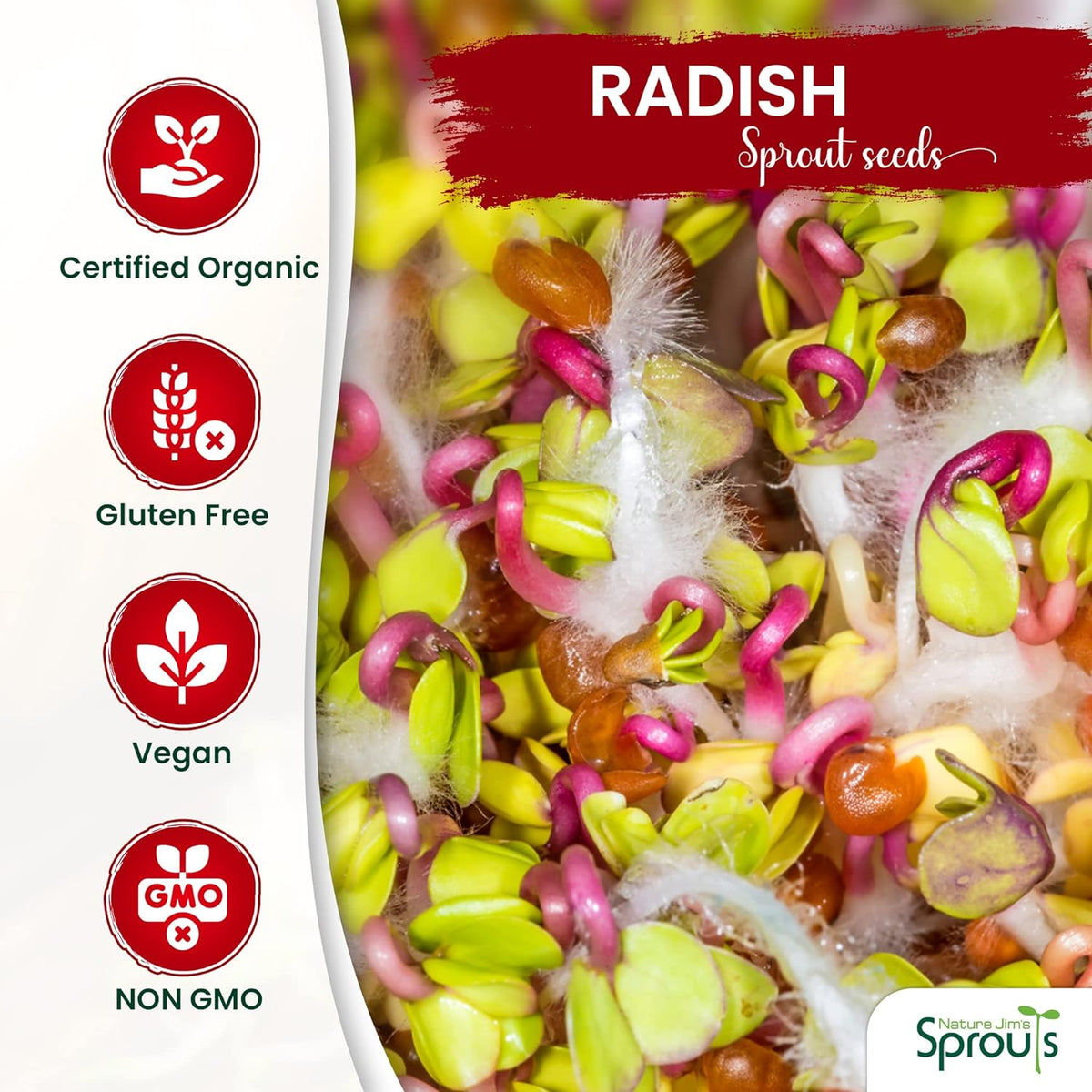 Nature Jims Radish Sprout Seeds – 16 Ounce Organic Sprouting Seeds – Non-GMO Premium Radish