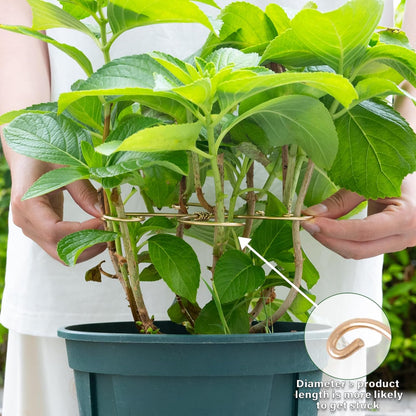 5PCS 7.5 Inch Monstera Plant Stem Support Hook - Premium Metal Structure for Indoor Plants, Durable