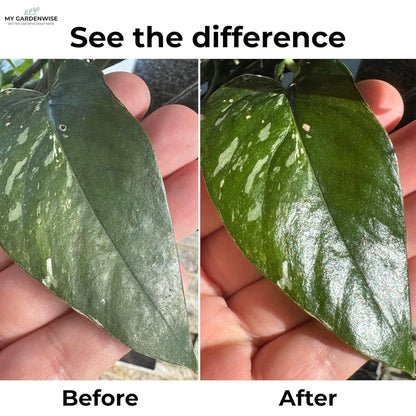 Leaf Shine Spray for Indoor Plants – Plant Leaf Cleaner & Shine for Real House Plants