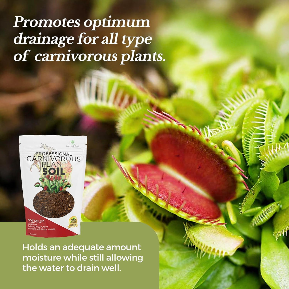 Professional Carnivorous Plant Soil | Large 2.2 Quarts Ready to Use for Venus Flytraps, Sundews