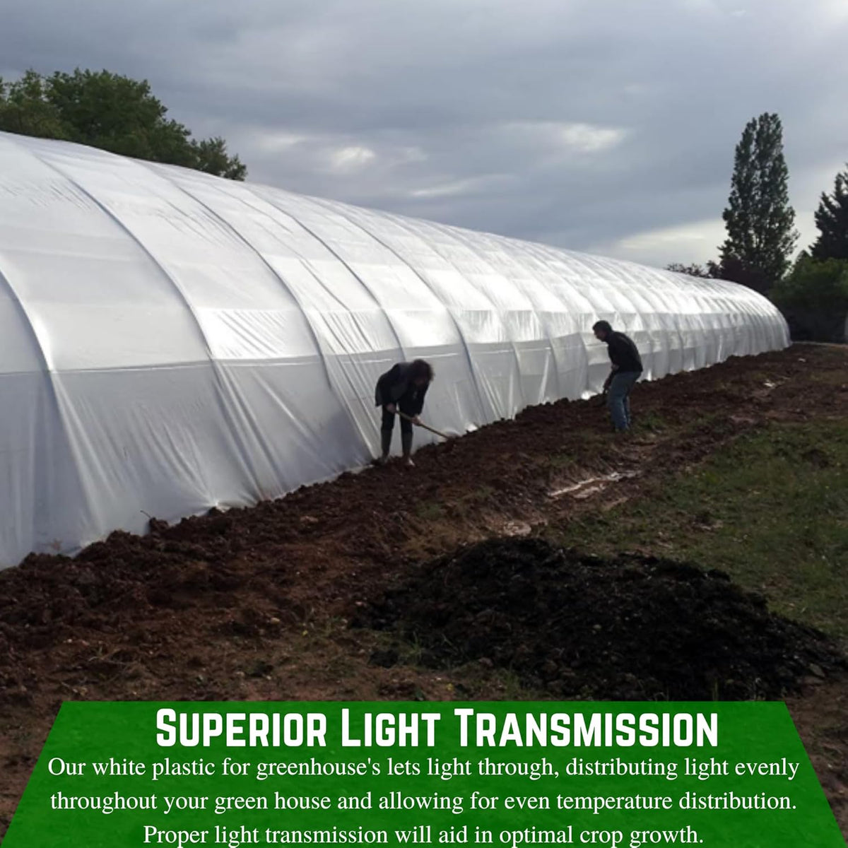 Farm Plastic Supply - String Reinforced 4 Year UV Resistant 10 mil White Greenhouse Plastic