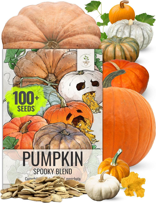 Seed Needs Pumpkin Seeds Specialty Spooky Blend 10+ Varieties | Lumina White, Baby Boo, Blue