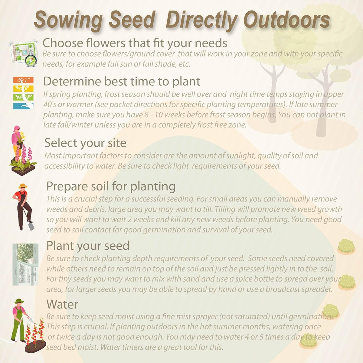 Outsidepride Low Growing Wildflower Seeds - 1 lb Dwarf, & Short, Diverse Perennial & Annual Wild