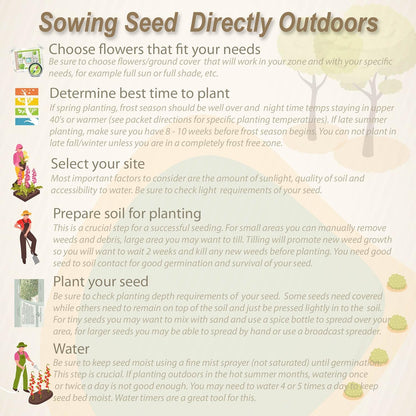 Outsidepride Low Growing Wildflower Seeds - 1 lb Dwarf, & Short, Diverse Perennial & Annual Wild