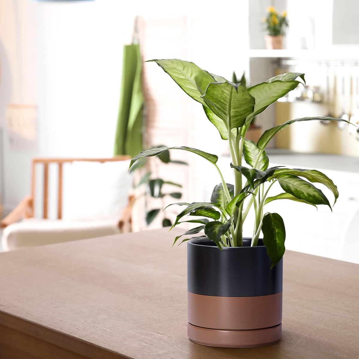 D'vine Dev 6.5 Inch Ceramic Planter Pot with Drainage Hole and Saucer, Indoor Cylinder Round