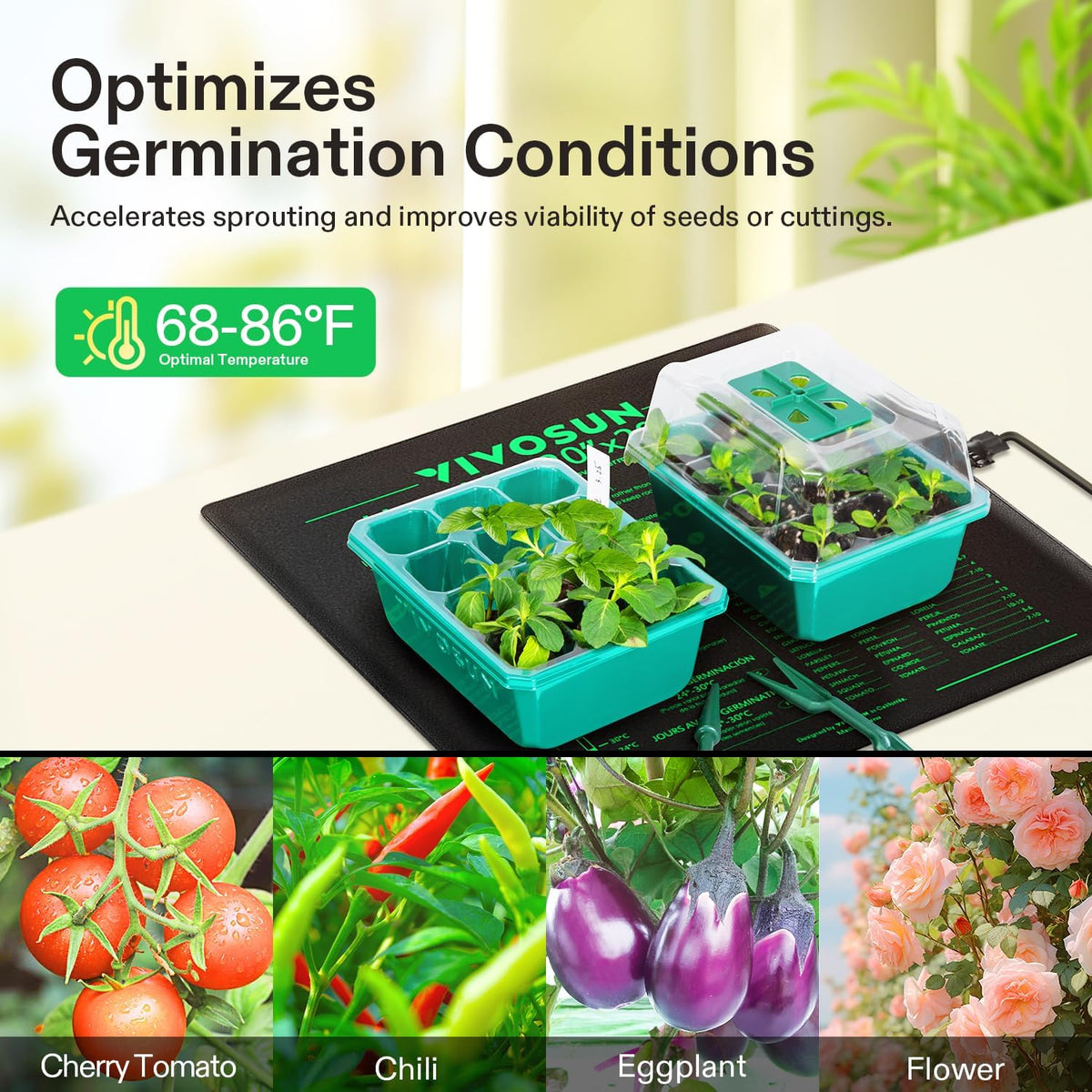 VIVOSUN 20" x 20.75" Seedling Heat Mat and Digital Thermostat Combo Set, UL & MET-Certified Warm