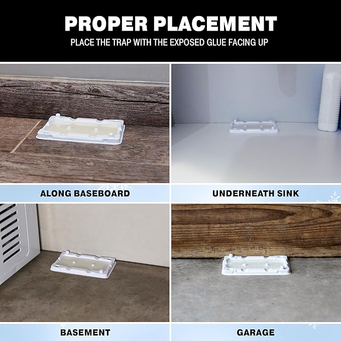 Catchmaster Freeze Resistant Glue Traps 6PK Mouse Traps Indoor for Home, Pest Control Adhesive