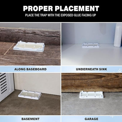 Catchmaster Freeze Resistant Glue Traps 6PK Mouse Traps Indoor for Home, Pest Control Adhesive