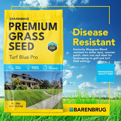 Barenbrug Turf Blue Pro Kentucky Bluegrass Lawn Seed with Yellow Jacket Seed Coating, All-Season