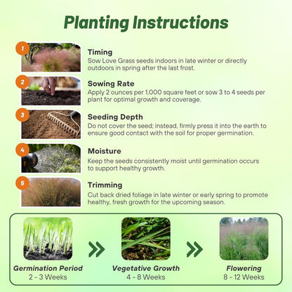 Outsidepride Sand Love Grass Seeds - 5,000 Pcs. Perennial, Easy to Grow, Drought-Tolerant, Tall