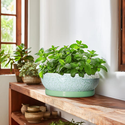 Bonsai Pots - 10 Inch Ceramic Succulent Pot with Drainage Hole and Plant Saucer, Succulent Planters