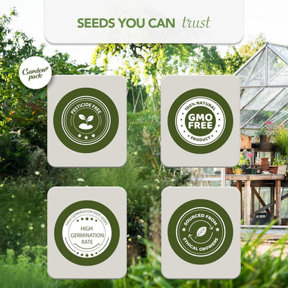 Garden Pack Seeds Pouch - 50 Varieties of Vegetable, Herb & Flower Seeds for Planting - 25,000 Non