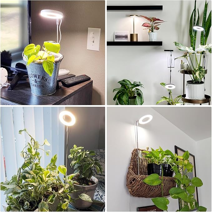 Grow Lights for Indoor Plants, Full Spectrum Plant Lights for Indoor Growing with with 3/9/12H