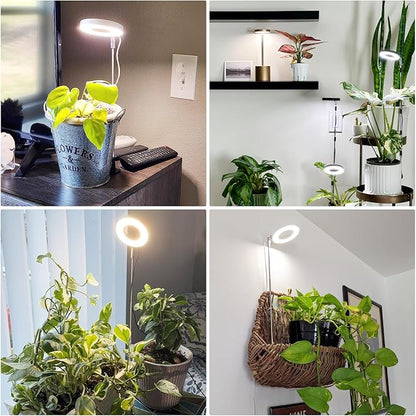 Grow Lights for Indoor Plants, Full Spectrum Plant Lights for Indoor Growing with with 3/9/12H