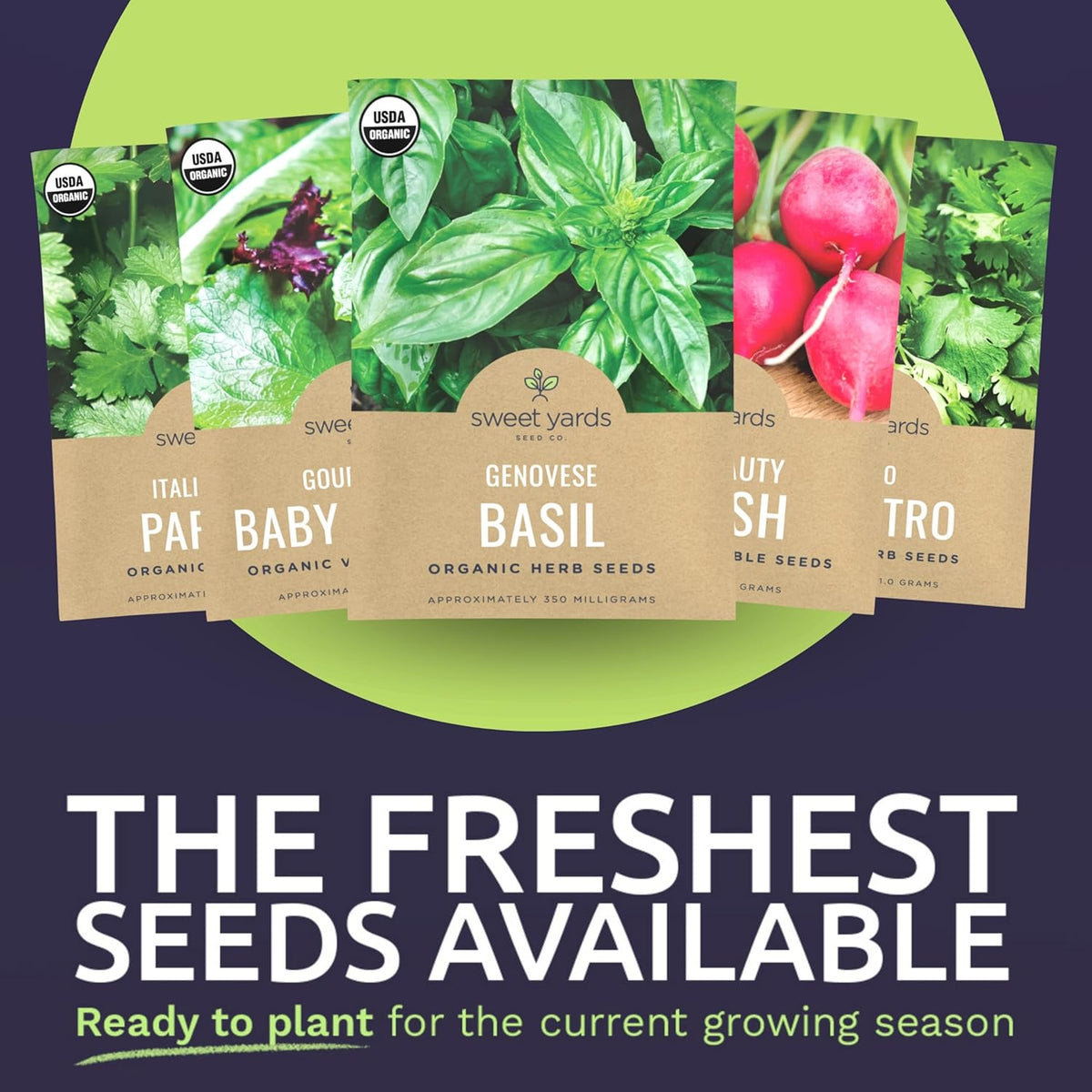 Organic Window Sill Seeds Variety Pack - 10 Individual Packs - 2025 Season - Basil, Cilantro, Pink