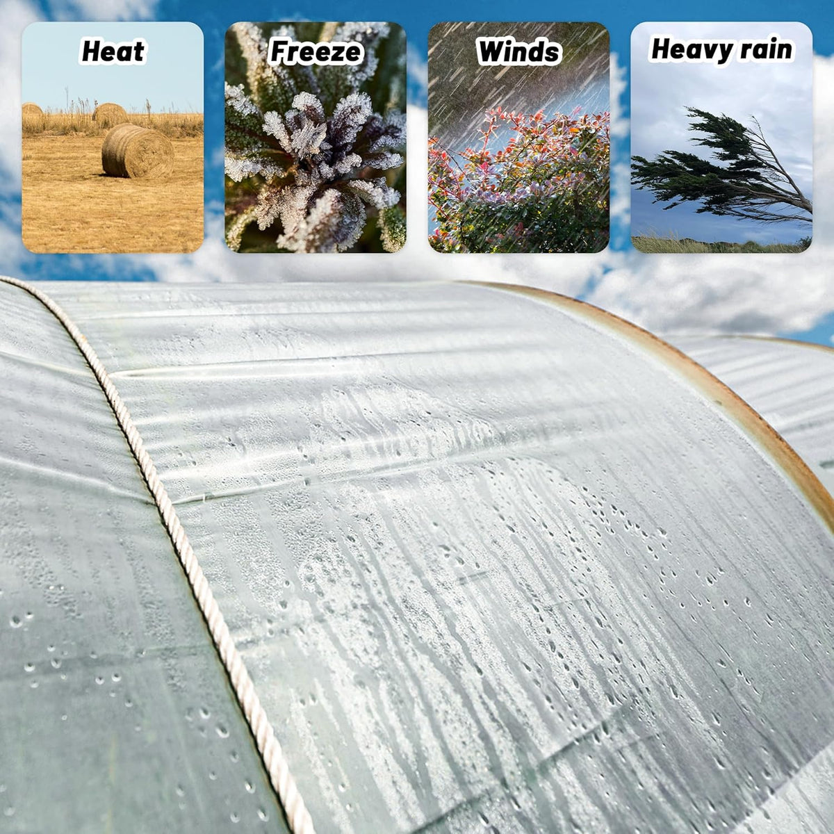 6 Mil Clear Greenhouse Plastic Sheeting,Transparent Plastic Film for Greenhouse, UV Resistant