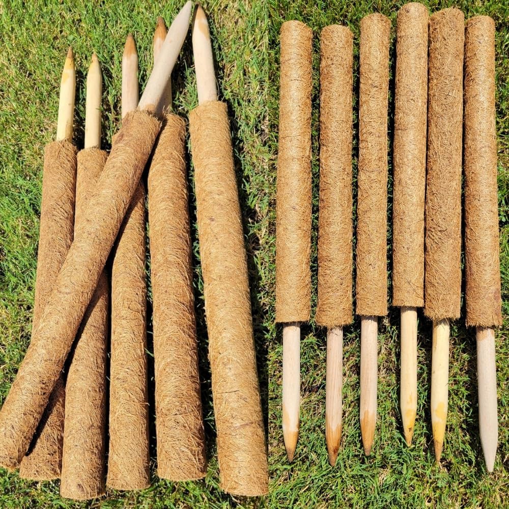 Pack of 6 Coco Coir Pole- Plants Monstera 24" Sized Poles for Climbing Plants, Plant Support Stakes