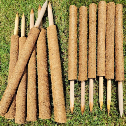 Pack of 6 Coco Coir Pole- Plants Monstera 24" Sized Poles for Climbing Plants, Plant Support Stakes