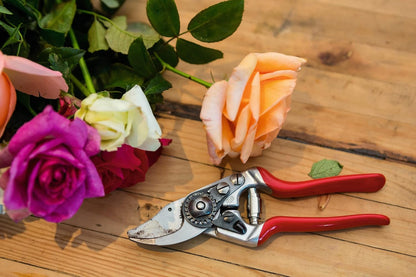 Felco F 14 Pruning Shears – 7.1" Garden Clippers for Small Hands with Bypass & Anvil Blades | Hand