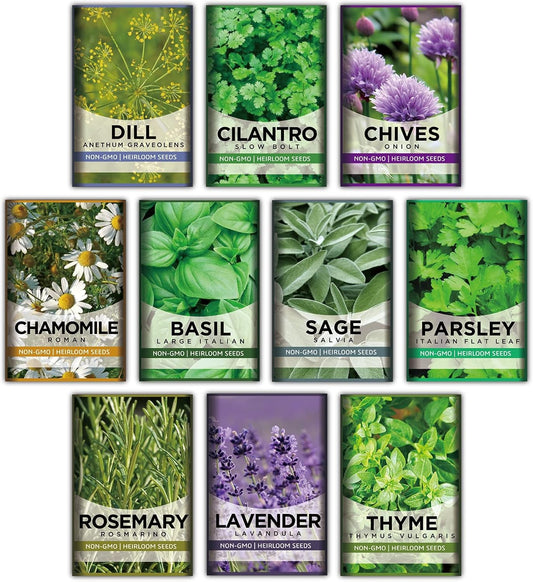 10 Kit Non-GMO Growing into Thyme, Lavender, Chamomile, Dill, Chives, Cilantro, Rosemary, Basil